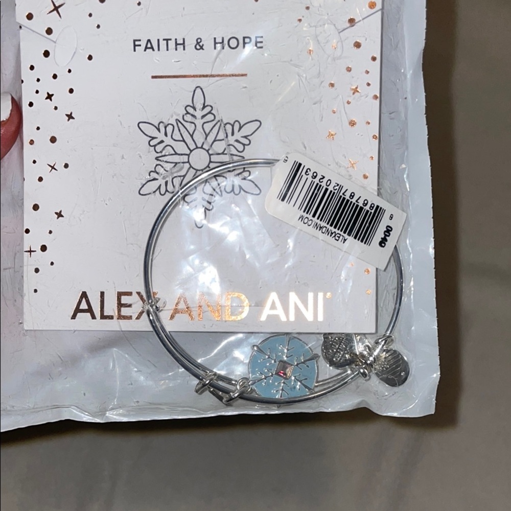 Alex and Ani Silver Bangle Bracelet
